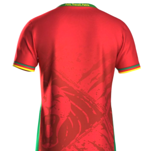 Maillot de football Extérieur CAMEROUN 5 étoiles CAN Pro max 2025-26