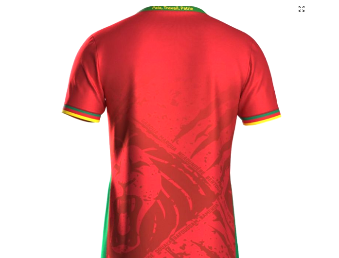 Maillot de football Extérieur CAMEROUN Pro max 2025-26