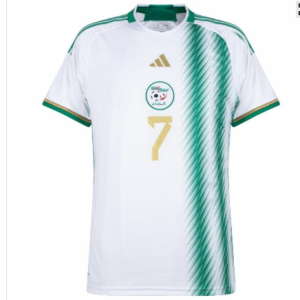 Maillot de football Domicile ALGERIE 2 étoiles CAN Pro max 2023-24