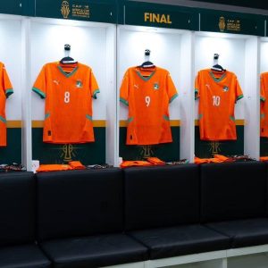 Maillot de football Domicile COTE D’IVOIRE Pro max 2025