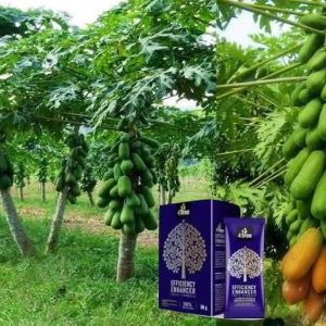 Engrais poudre ionique biologique 100% naturel 4THREE 5 gr – Papayer