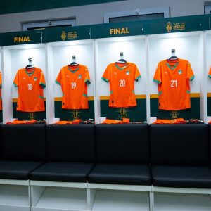 Maillot de football Domicile COTE D’IVOIRE Pro max 2025