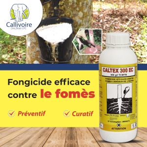 Fongicide liquide CALTEX 300 EC 1 litre – Spécial hévéa
