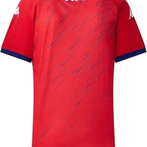 Maillot de football Domicile TUNISIE 1 étoile Pro max 2025