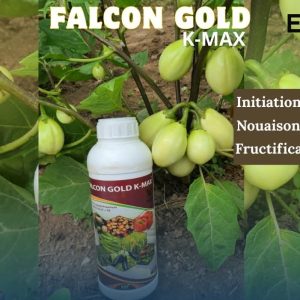Engrais foliaire premium FALCON GOLD K-MAX 1 litre – Toutes les cultures