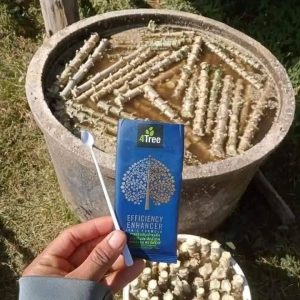 Engrais poudre ionique biologique 100% naturel 4THREE 5 gr – Manioc