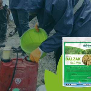 Herbicide granulé sélectif de pré et post-levée BALZAK 540 WG 65 gr – Riz irrigué, riz pluvial