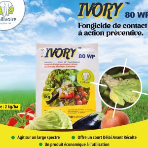 Fongicide granulé IVORY 80 WP 1 kg – Cultures maraichères, anacarde et banane