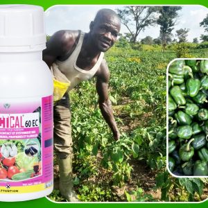Insecticide liquide INSECTICAL 60 EC 250 ml – Cultures légumières, fruitières et florales