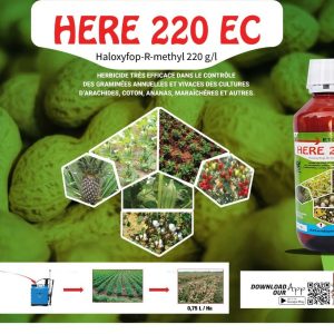 Herbicide liquide total HERE 220 EC 1 litre – Cultures maraichères, arachide, coton, ananas