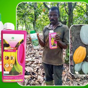 Biostimulant foliaire BIOMAX CACAO 1 litre – Spécial cacao
