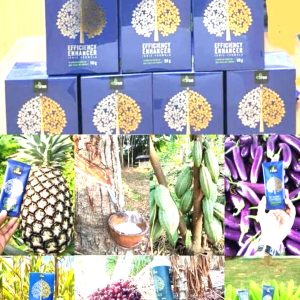 Engrais poudre ionique biologique 100% naturel 4THREE 5 gr – Tous types de plantes