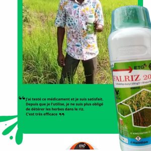 Herbicide liquide sélectif de pré et post-levée FALRIZ 200 OD 500 ml – Spécial riz
