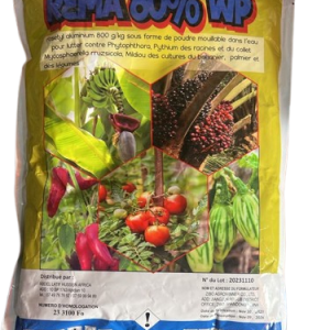 Fongicide poudre REMA 80% WP 75 gr – Banane, palmier à huile, cultures légumières
