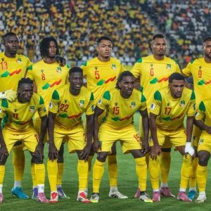 Maillot de football Domicile BENIN Pro max 2025