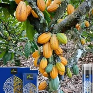 Engrais poudre Bio 100% naturel 4THREE 5 gr – Cacao