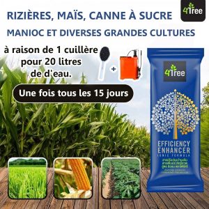 Engrais poudre ionique biologique 100% naturel 4THREE 5 gr – Céréales