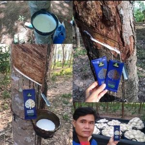 Engrais poudre Bio 100% naturel 4THREE 5 gr – Hévéa