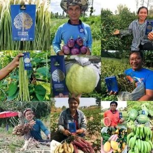 Engrais poudre ionique biologique 100% naturel 4THREE 5 gr – Céréales