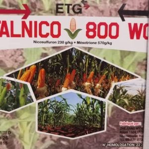 Herbicide granulé sélectif de post-levée FALNICO 800 WG 50 gr – Spécial maïs