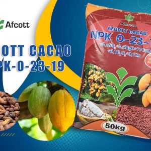 Engrais granulé NPK 0-23-19 50 kg – Spécial cacao