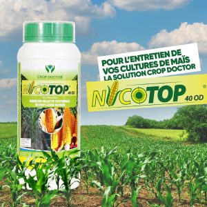 Herbicide liquide sélectif de post-levée NICOTOP 40 OD 1 litre – Spécial maïs