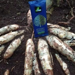 Engrais poudre ionique biologique 100% naturel 4THREE 5 gr – Manioc