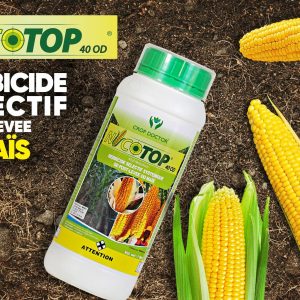 Herbicide liquide sélectif de post-levée NICOTOP 40 OD 1 litre – Spécial maïs