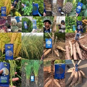 Engrais poudre ionique biologique 100% naturel 4THREE 5 gr – Céréales