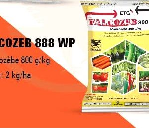 Fongicide poudre FALCOZEB 800 WP 50 gr – Cultures maraichères