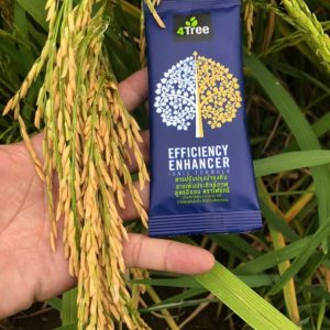 Engrais poudre Bio 100% naturel 4THREE 5 gr – Riz