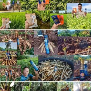 Engrais poudre ionique biologique 100% naturel 4THREE 5 gr – Tous types de plantes