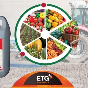 Engrais foliaire premium FALCON GOLD N-MAX 5 litres – Toutes les cultures