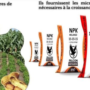 Engrais granulé NPK COMPLEXE 14-18-18 50 kg – Toutes les cultures