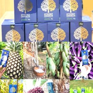 Engrais poudre ionique biologique 100% naturel 4THREE 5 gr – Tous types de plantes