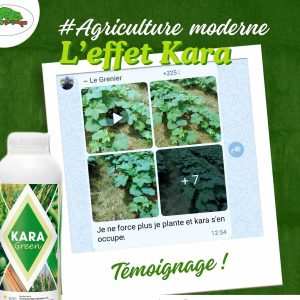 Engrais foliaire biologique KARA GREEN 1 litre – Cultures céréalières