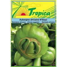 Semence d&rsquo;AUBERGINE AFRICAINE N&rsquo;GOYO 5 gr