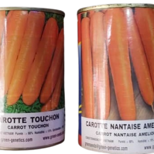 Semence de CAROTTE NANTAISE AMELIOREE 50 gr