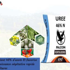 UREE 46% N 50 kg – Toutes les cultures
