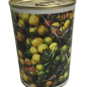 Semence d’AUBERGINE AFRICAINE GNANGNAN 50 gr