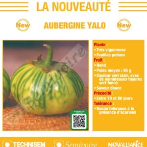 Semence d&rsquo;AUBERGINE AFRICAINE YALO 50 gr