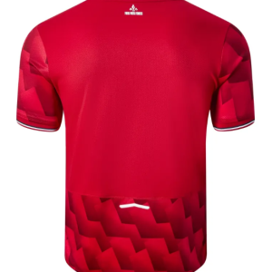 Maillot de football Domicile LOSC LILLE Pro max 2025-26