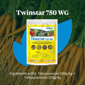 Fongicide poudre TWINSTAR 750 WG 75 gr – Cultures maraichères