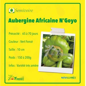 Semence d&rsquo;AUBERGINE AFRICAINE N&rsquo;GOYO 50 gr