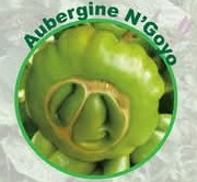 Semence d&rsquo;AUBERGINE AFRICAINE N&rsquo;GOYO 50 gr