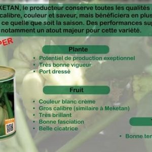 Semence d’AUBERGINE SUPER MEKETAN 50 gr