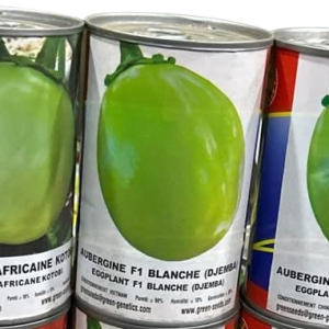 Semence d’AUBERGINE AFRICAINE KOTOBI 50 gr