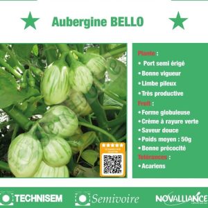 Semence d’AUBERGINE AFRICAINE BELLO 50 gr