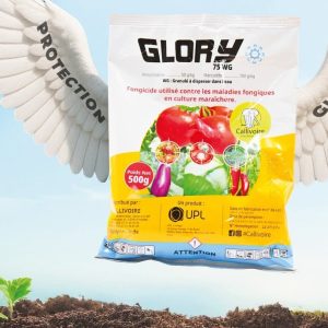Fongicide granulé GLORY 75 WG 500 gr – Cultures maraichères