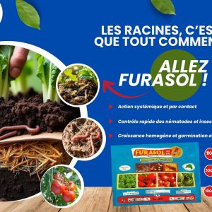 Nématicide – insecticide granulé FURASOL 50 GR 500 gr – Cultures maraichères, palmier à huile et espaces verts